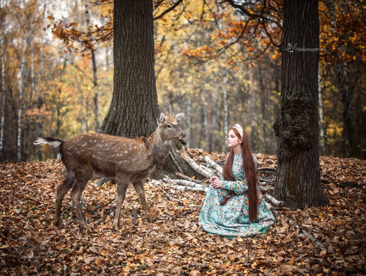 Фотосессия с оленем