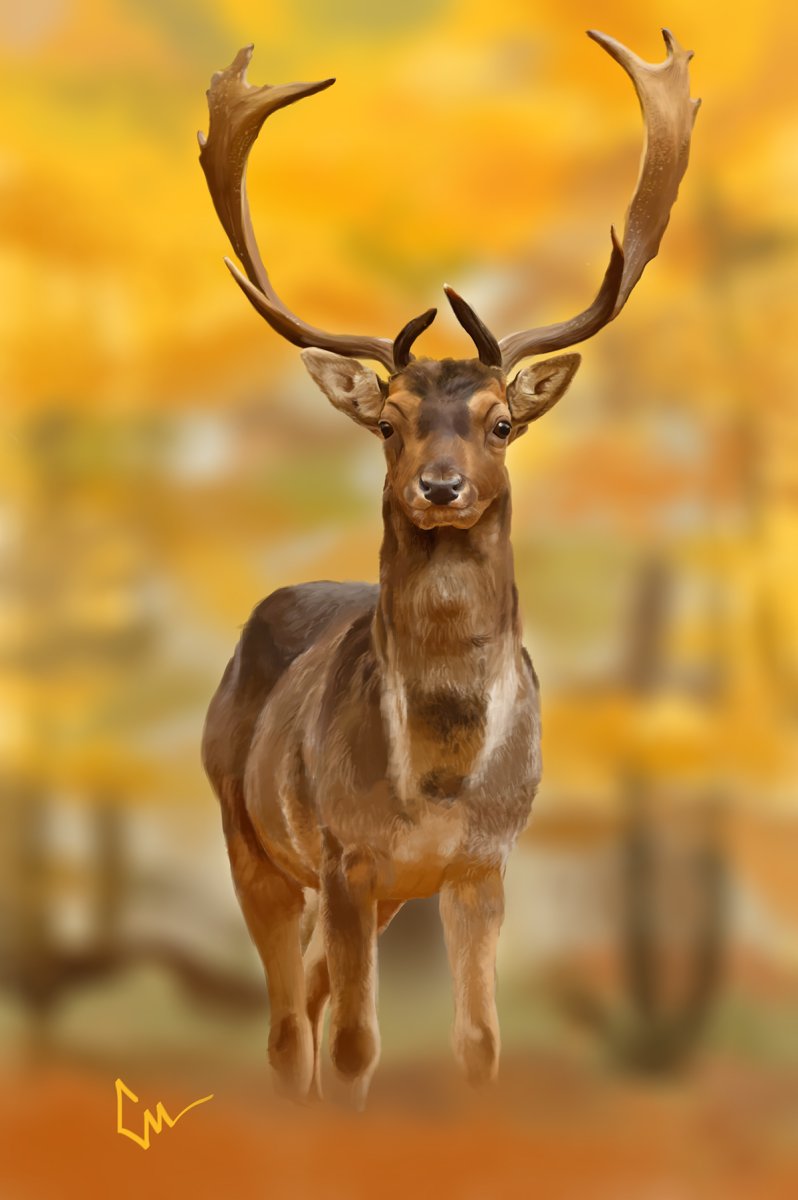 Олень осень