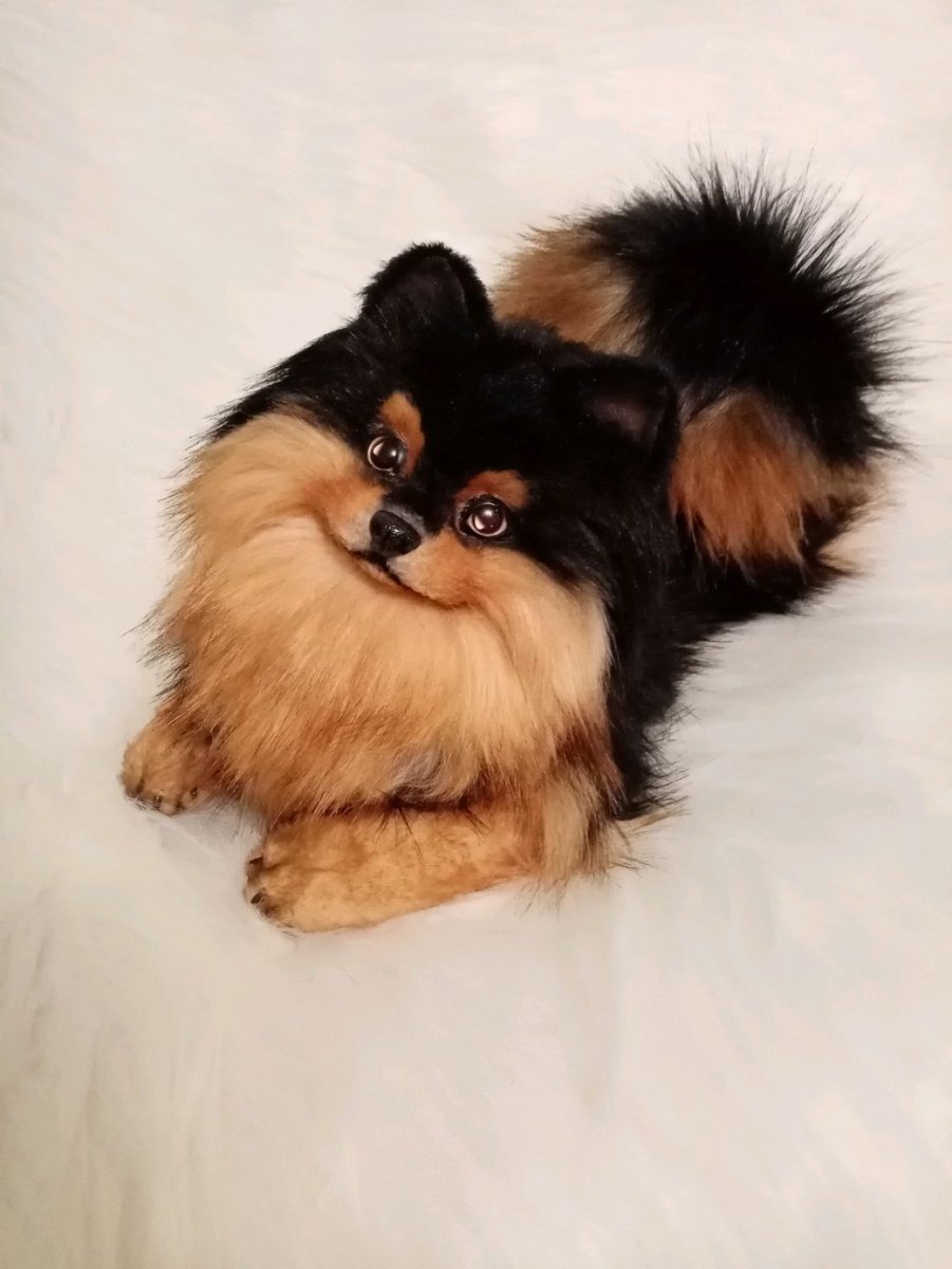 Померанский шпиц плюшевый