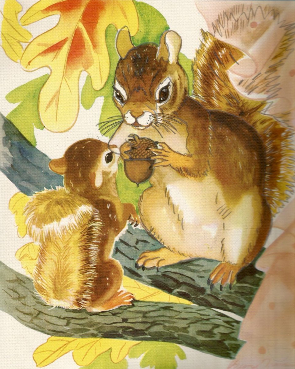 Белка с желудем