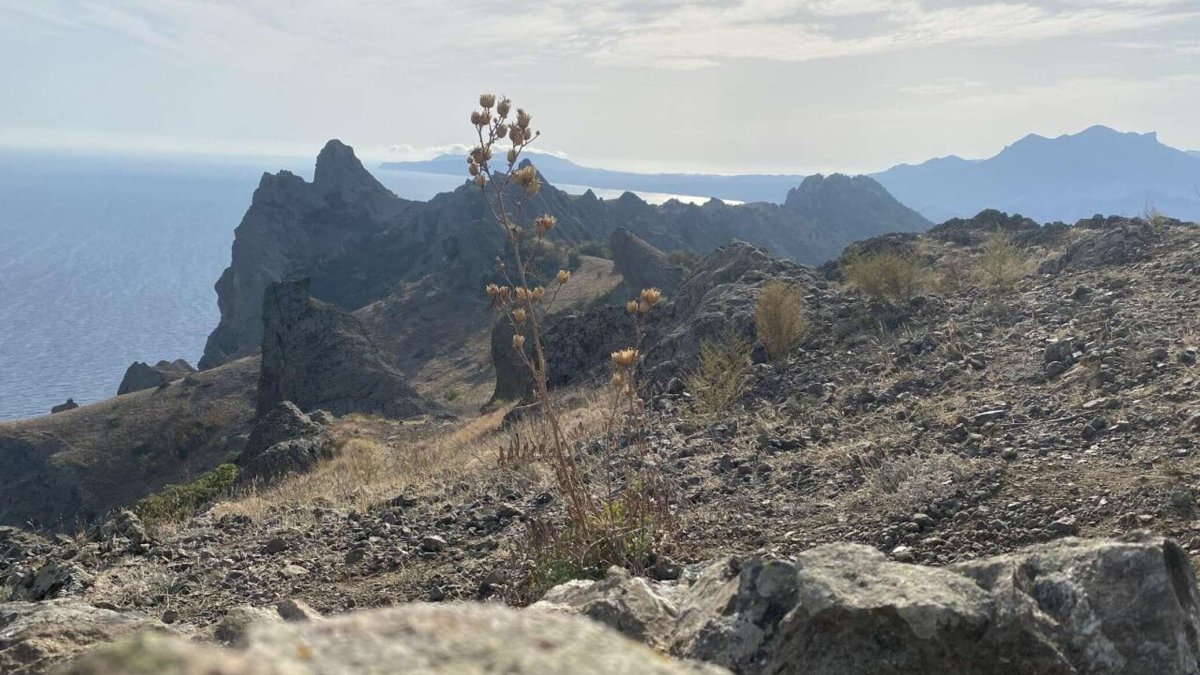 Гора Карадаг в Крыму