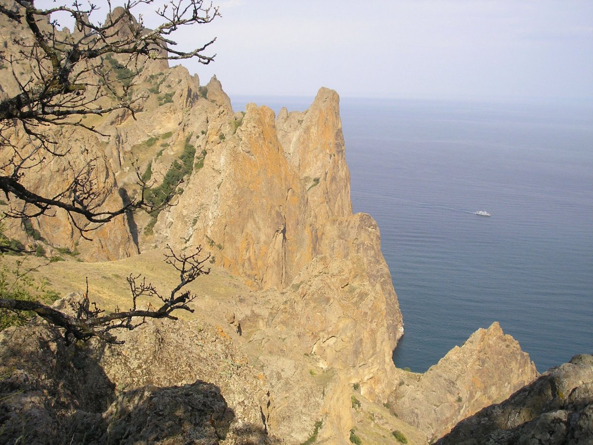 Коктебель Карадагский змей