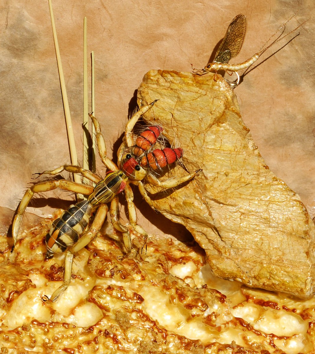 Верблюжий паук против скорпиона