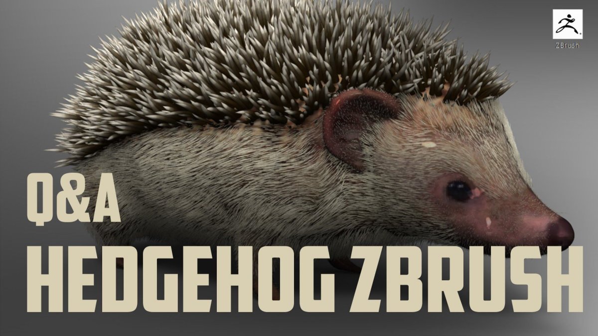 Ежи для Паши