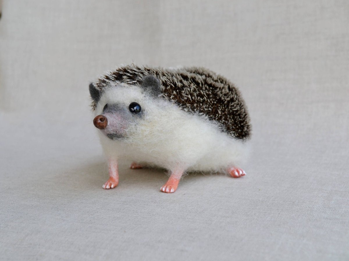 Лысый Ёжик Нельсон