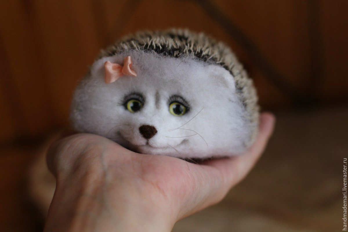 Валяние из шерсти игрушки Ежик