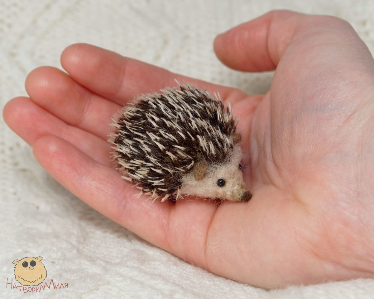 Войлочная брошь Ёжик