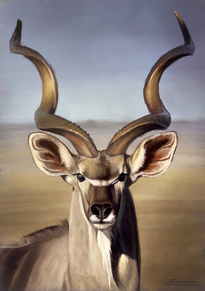 Голова антилопы