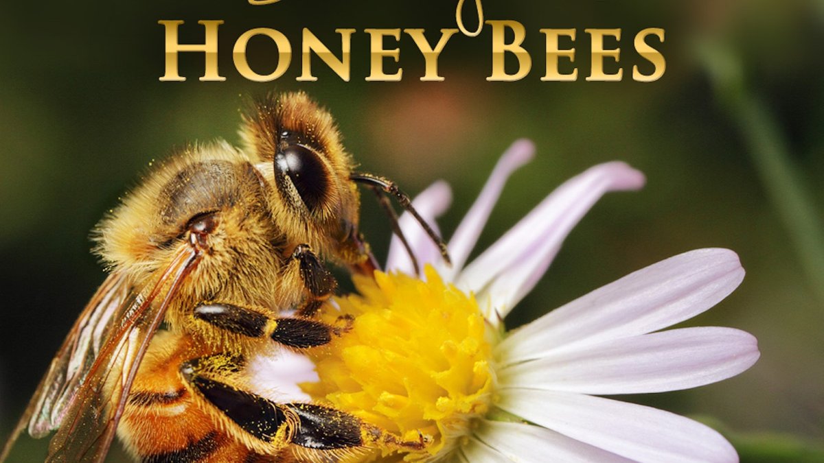 Пчела аватарка