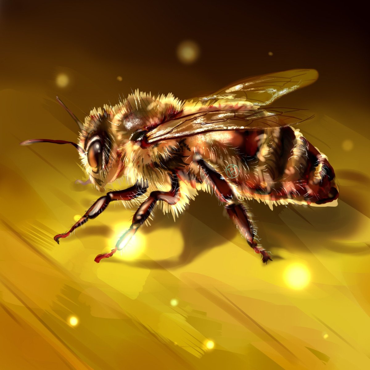 Пчела на аву