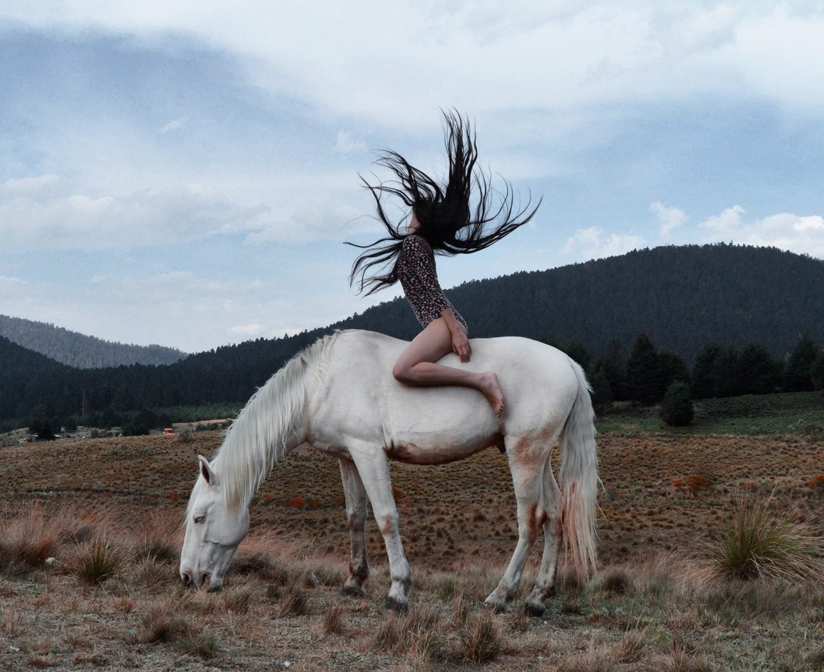Долговязая лошадь в реальной жизни