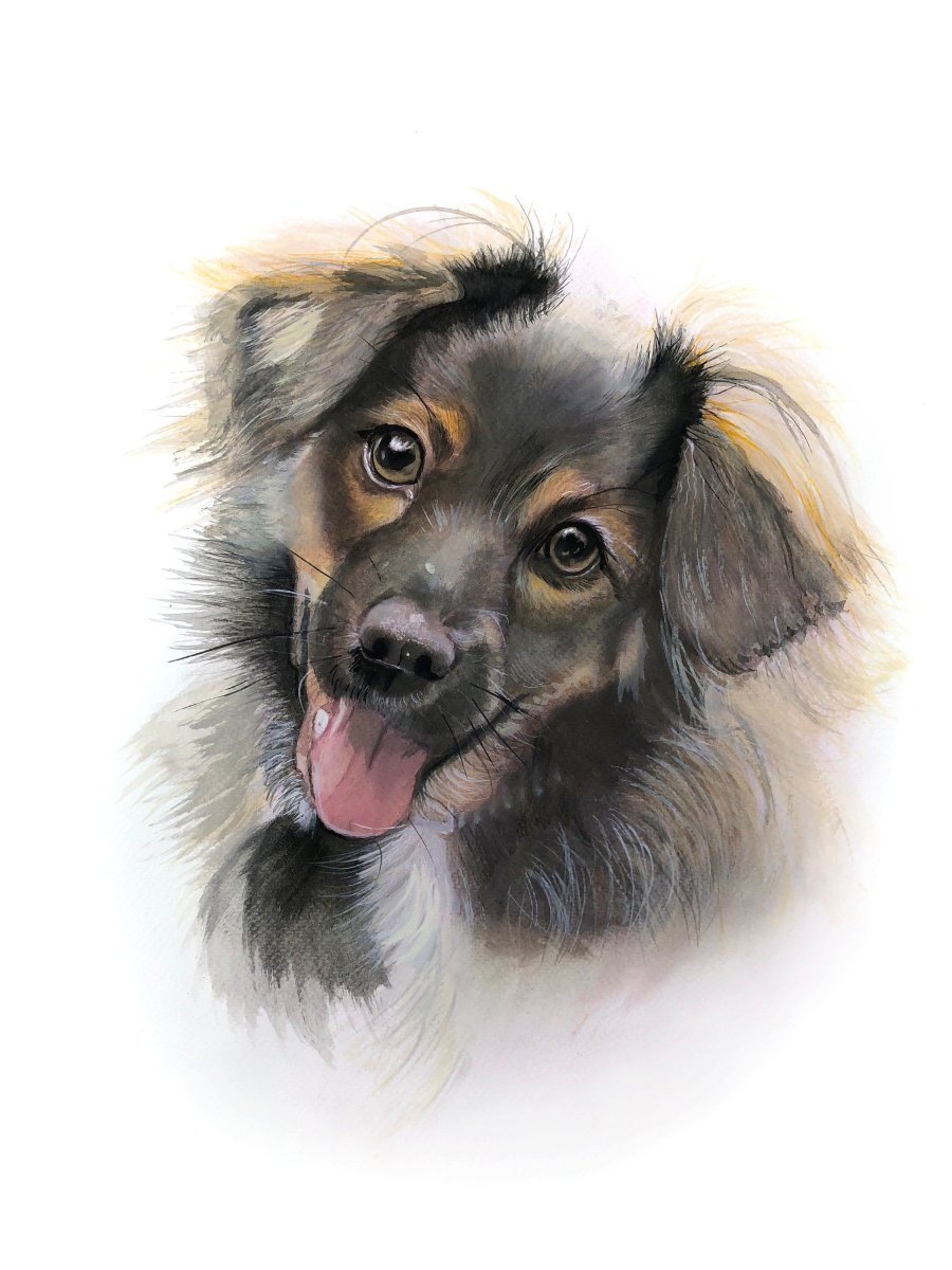 Фотопортрет собаки