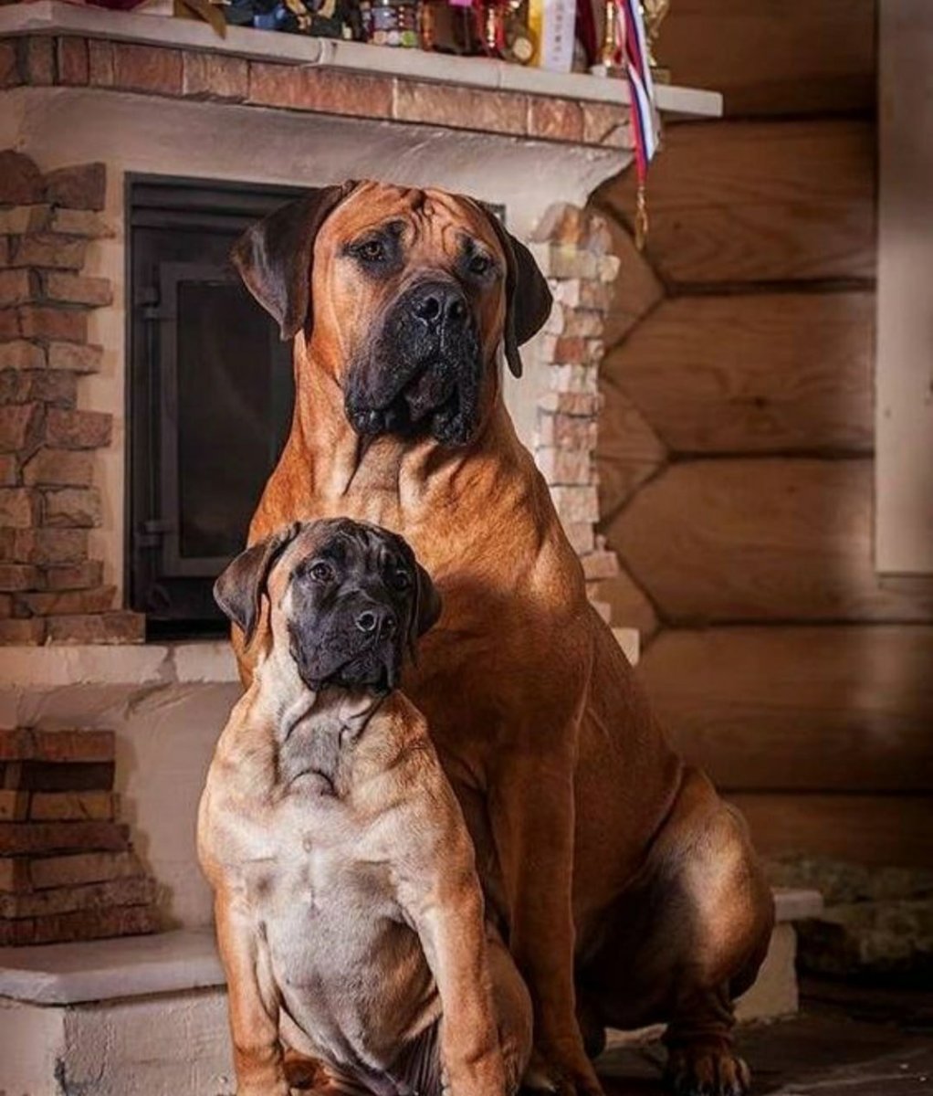 Бурбуль Маглор