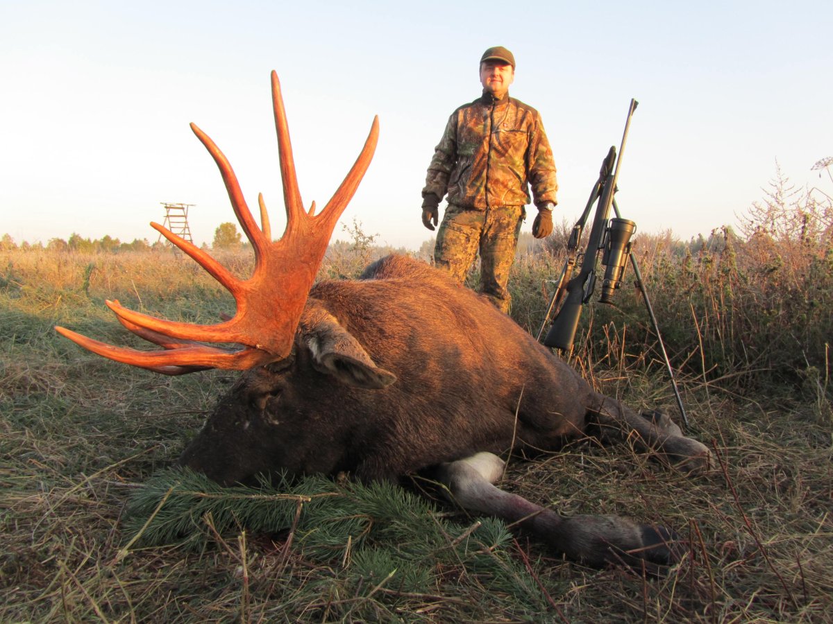 Охотник с огромным лосем