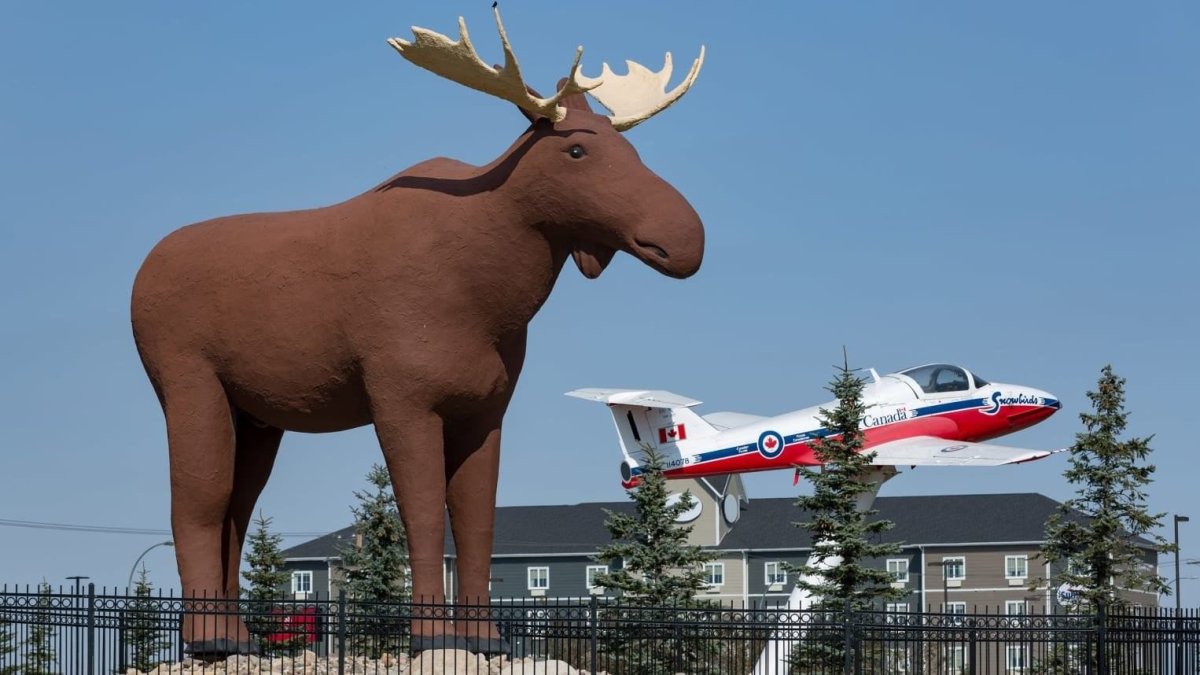 Лось Канада