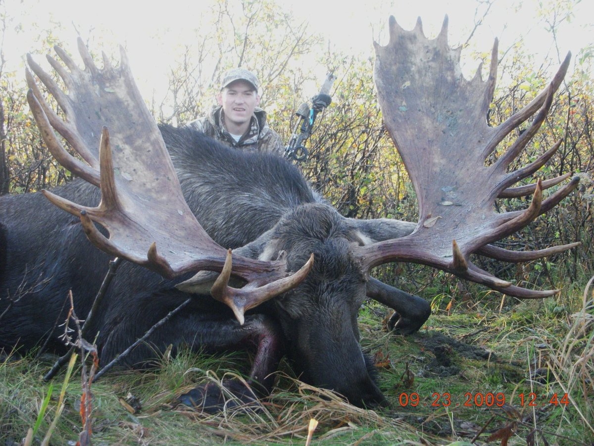 Самый большой Лось в мире рекорд
