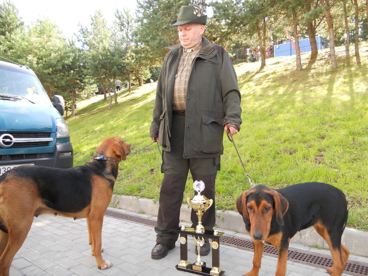 Белорусская собака