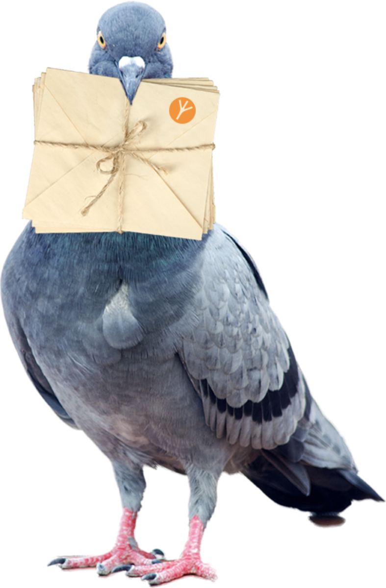 Голубь почта