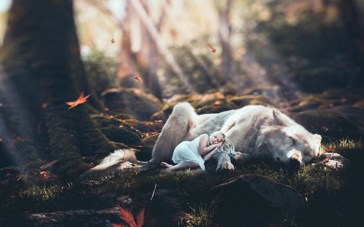 Девушка с волком в лесу