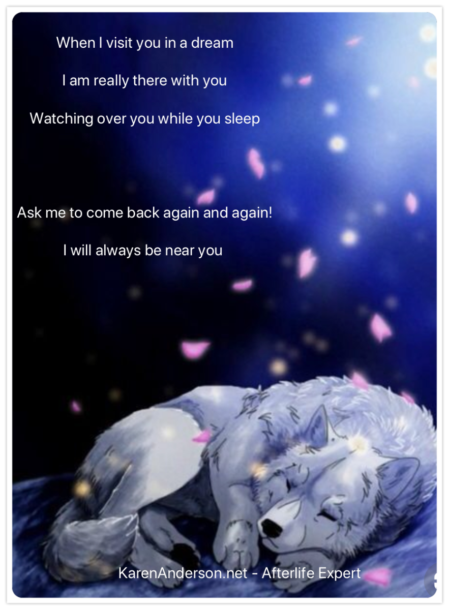 Волчица спит