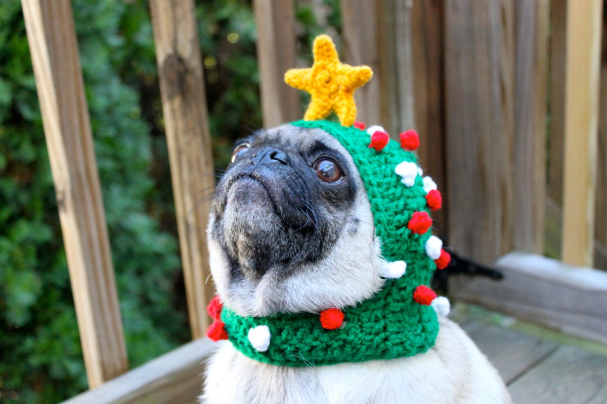 Шапка 'собака'