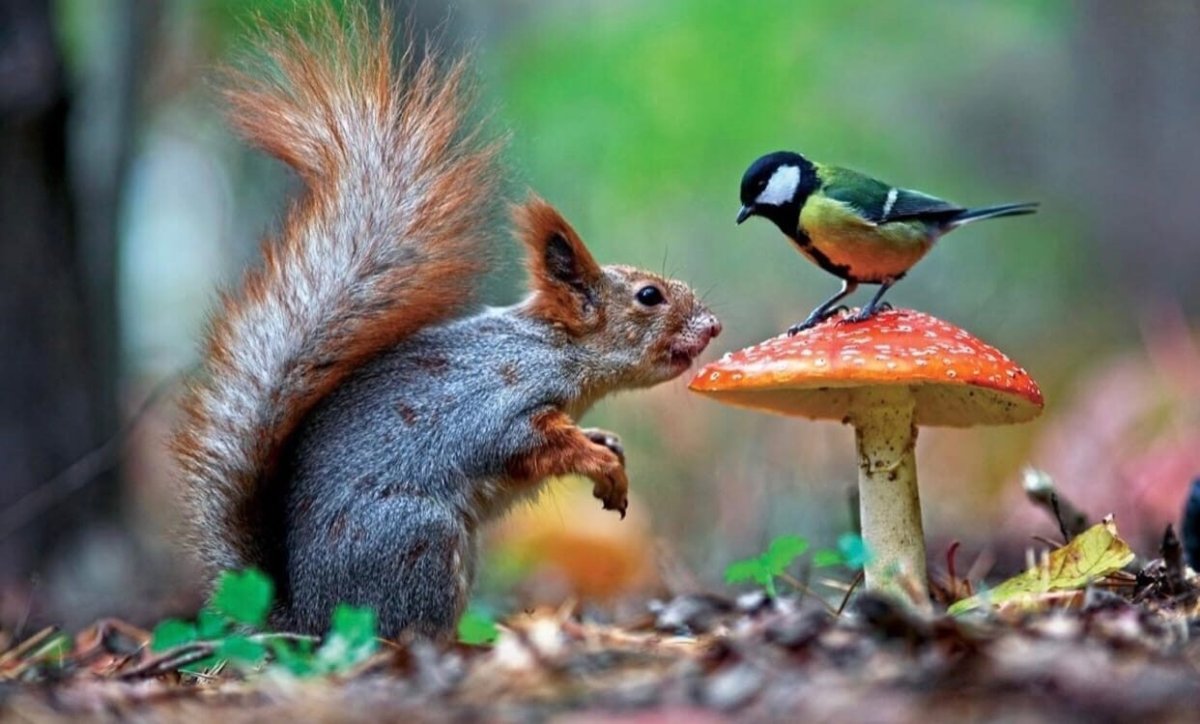 Вадим Трунов белки