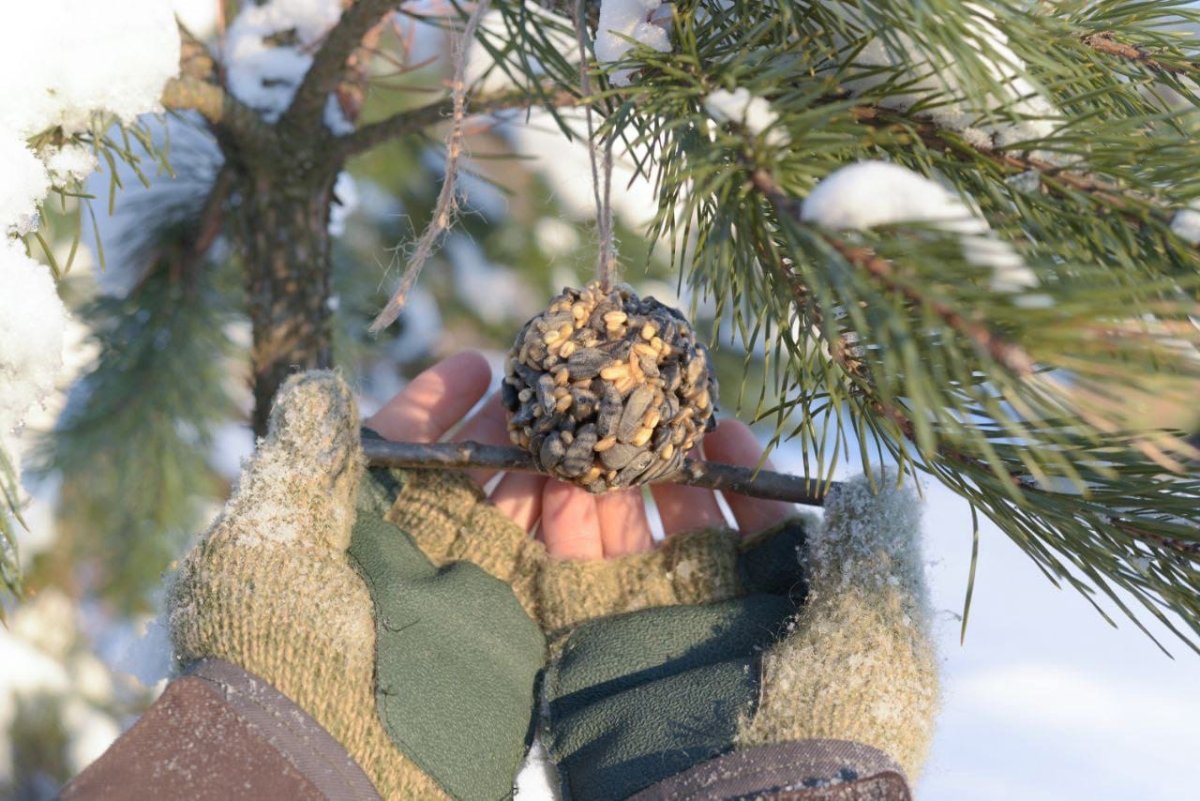 Новый год в тайге