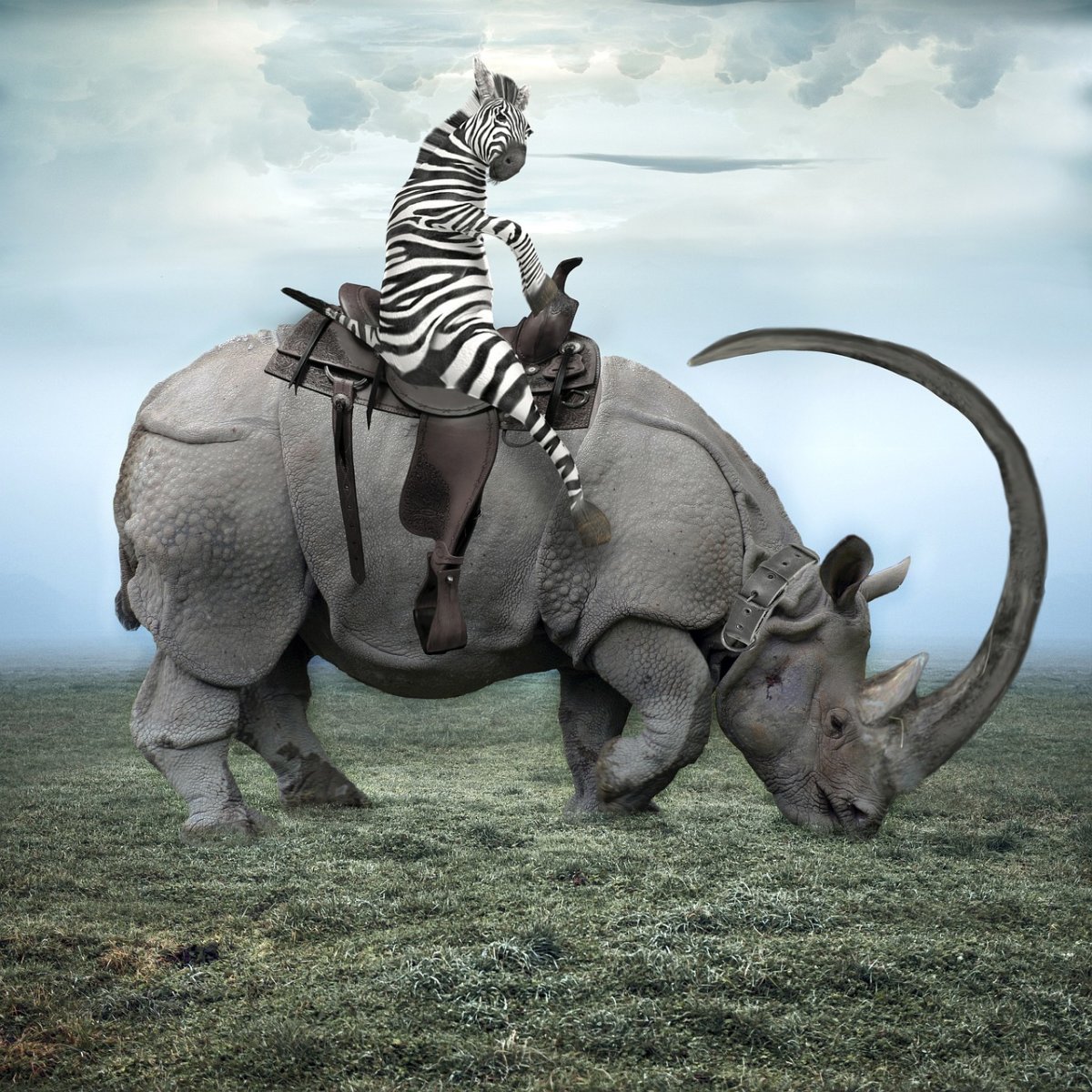 Слон и носорог