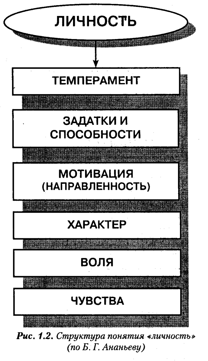 Структура личности по Ананьеву схема