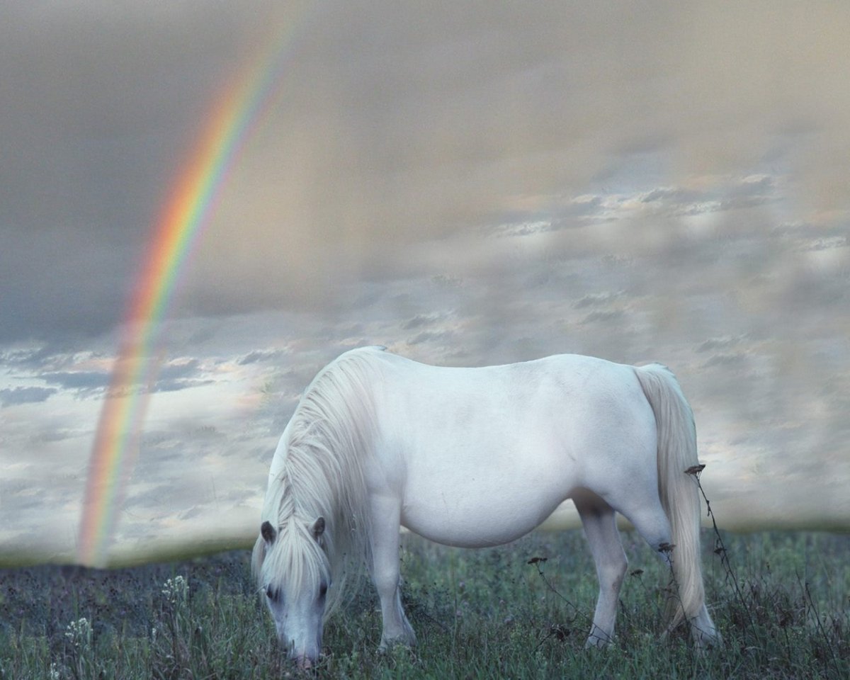 Лошади на фоне радуги