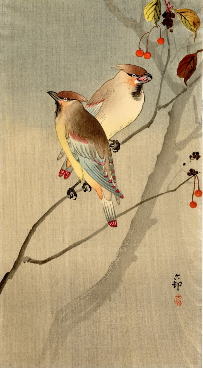 Японские Гравюры Охара Косон