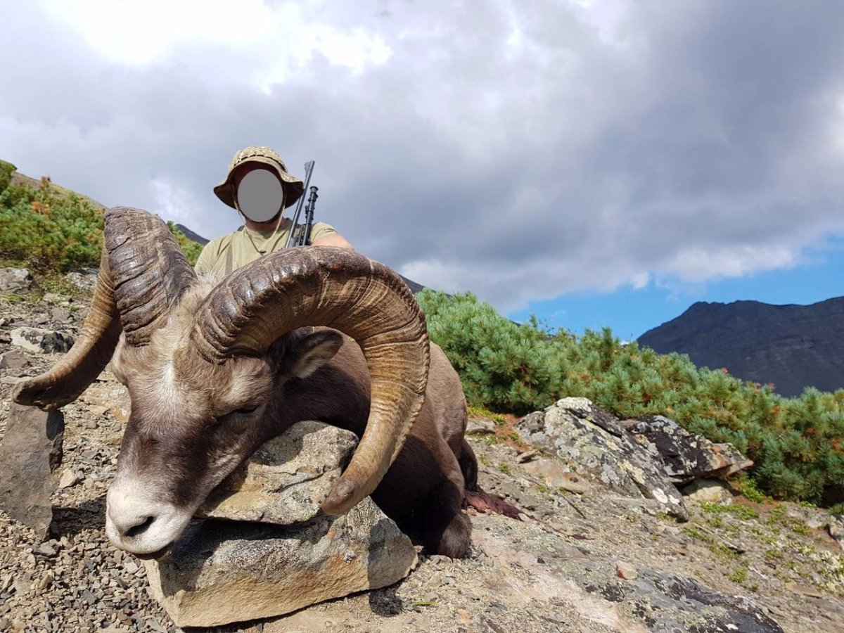 Чубуку Якутии горный