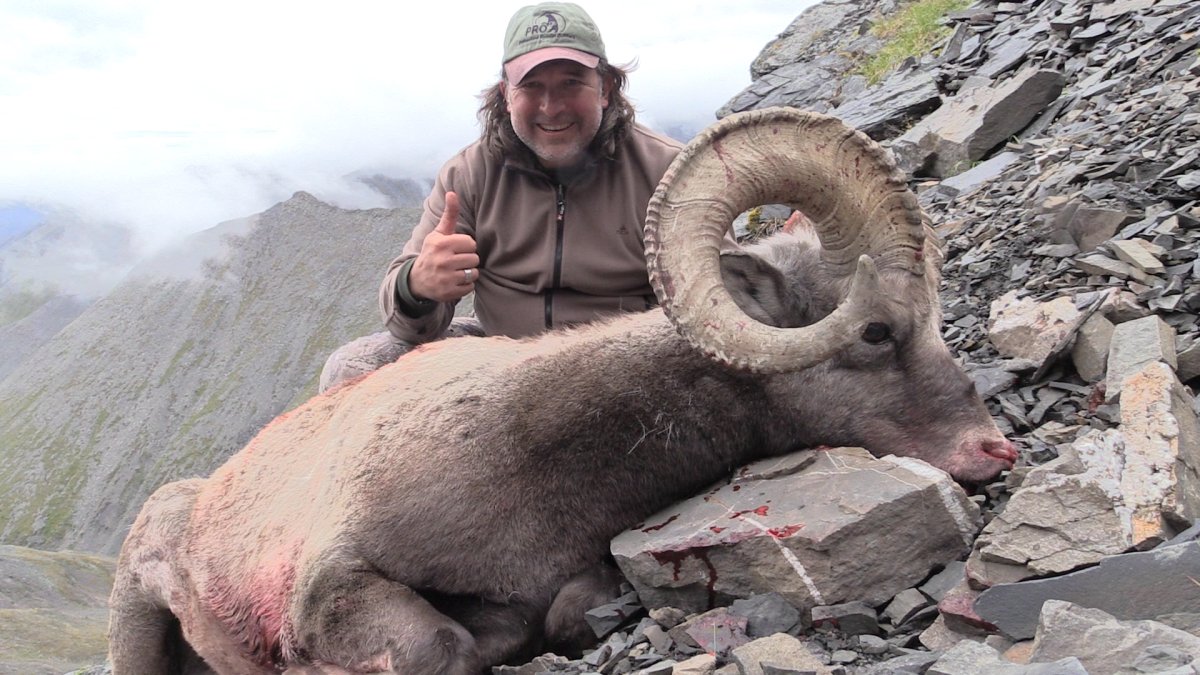 Якутский снежный баран чубуку