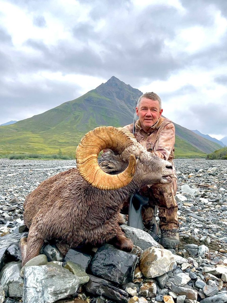 Снежный баран ареал