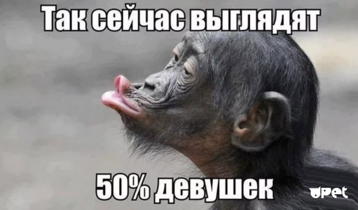 Губы шимпанзе