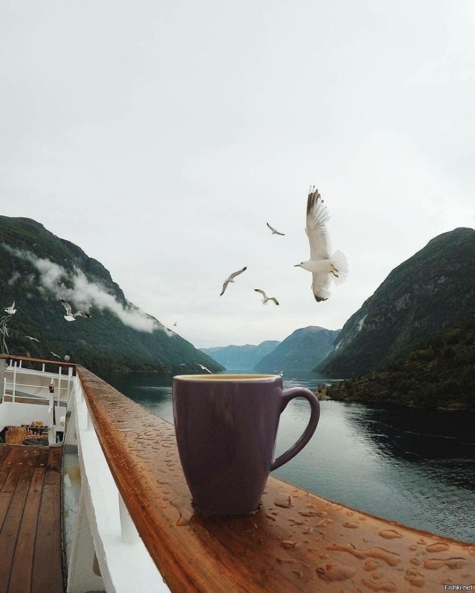 Доброе утро горы