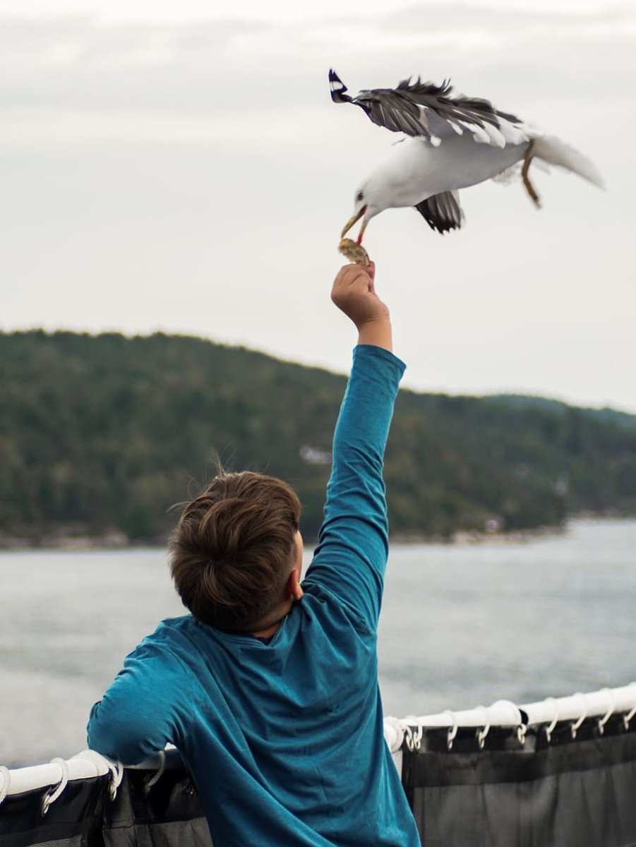 Фото человека с чайками примеры