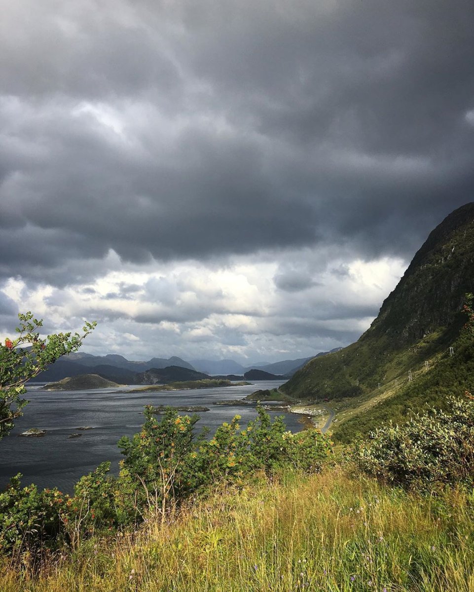 Визит Норвей