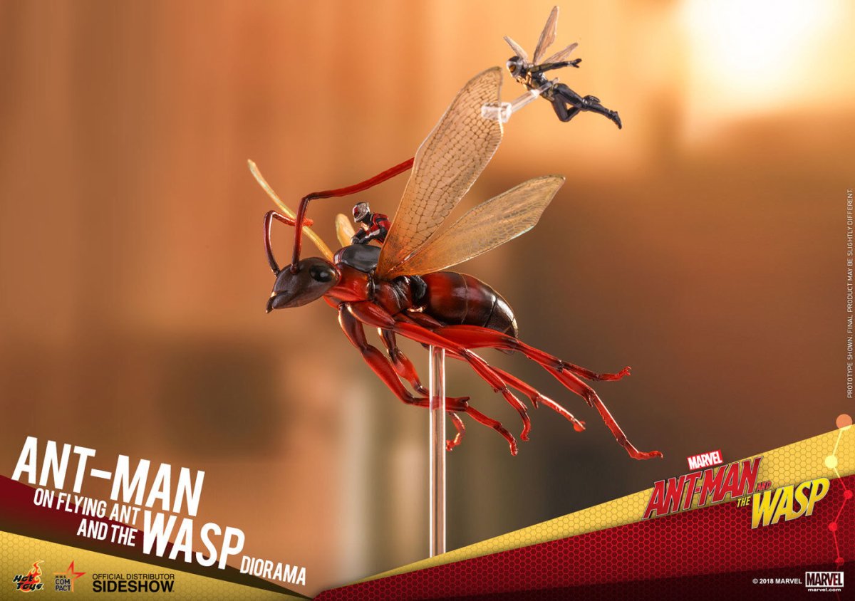 Ant Wasp