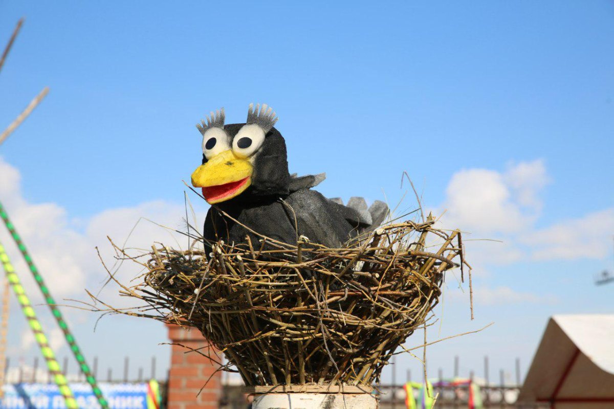 Хантыйская ворона