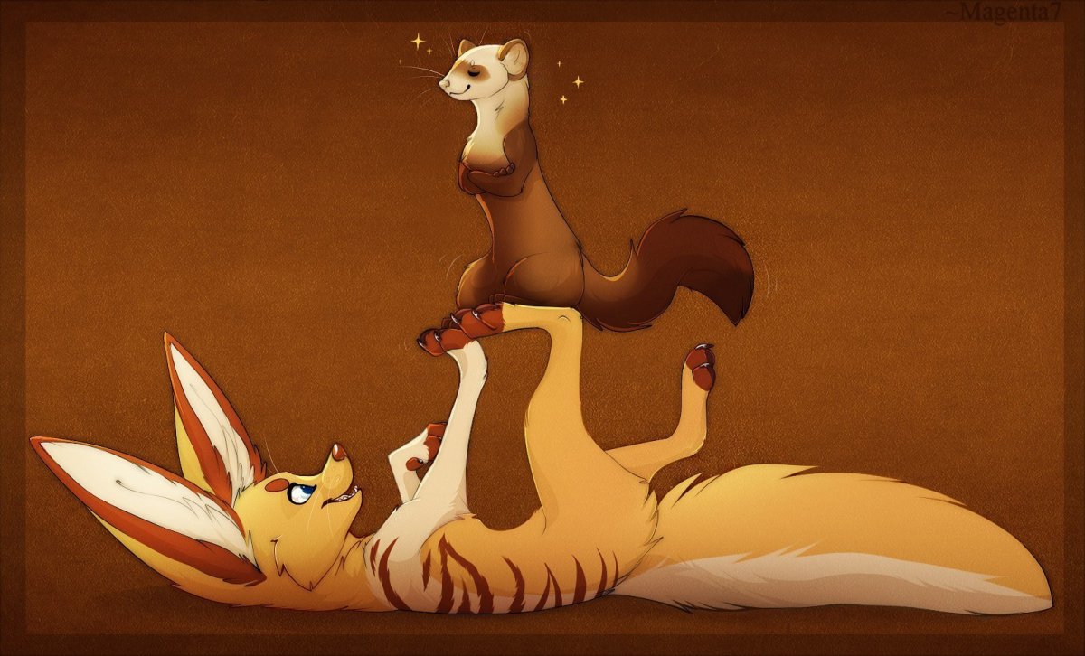 Фурсона фенек