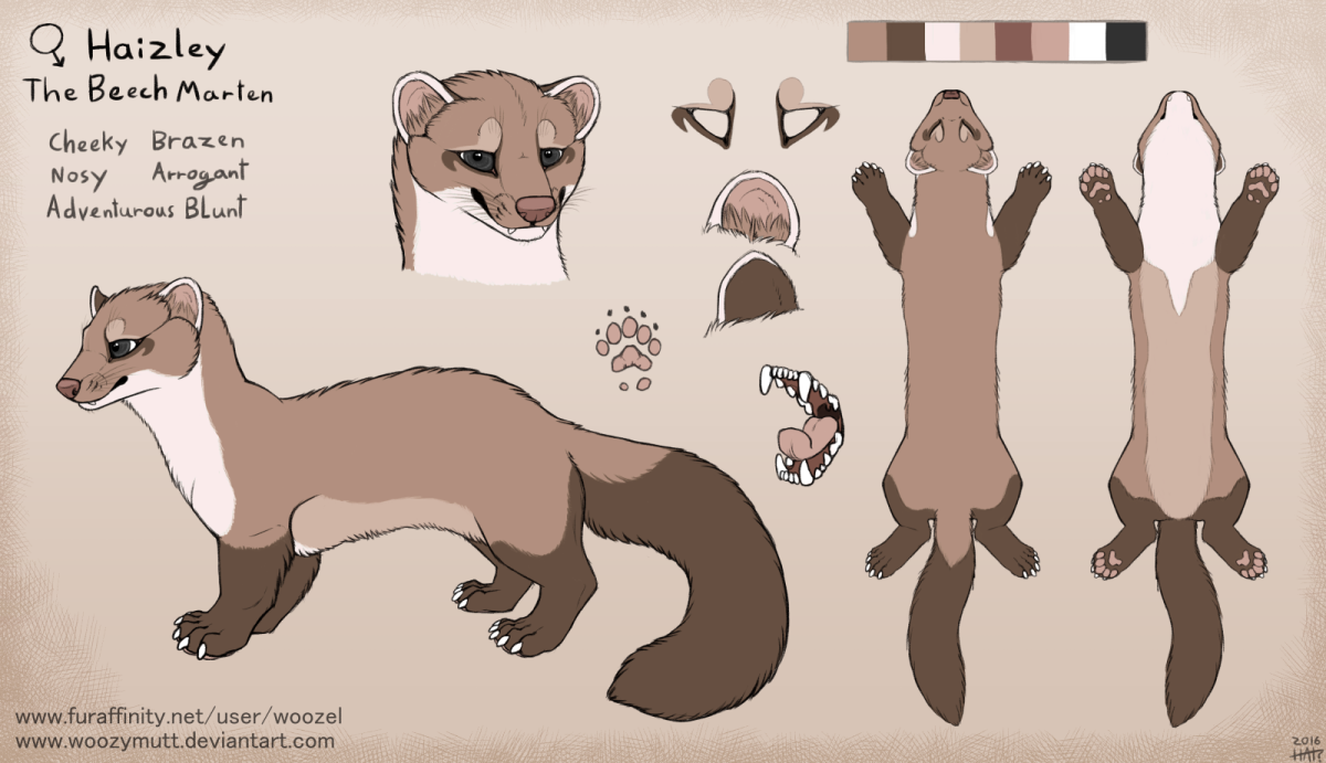 Хорек фурри референс