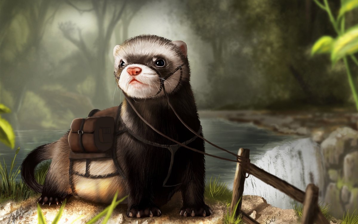 Хорек фэнтези