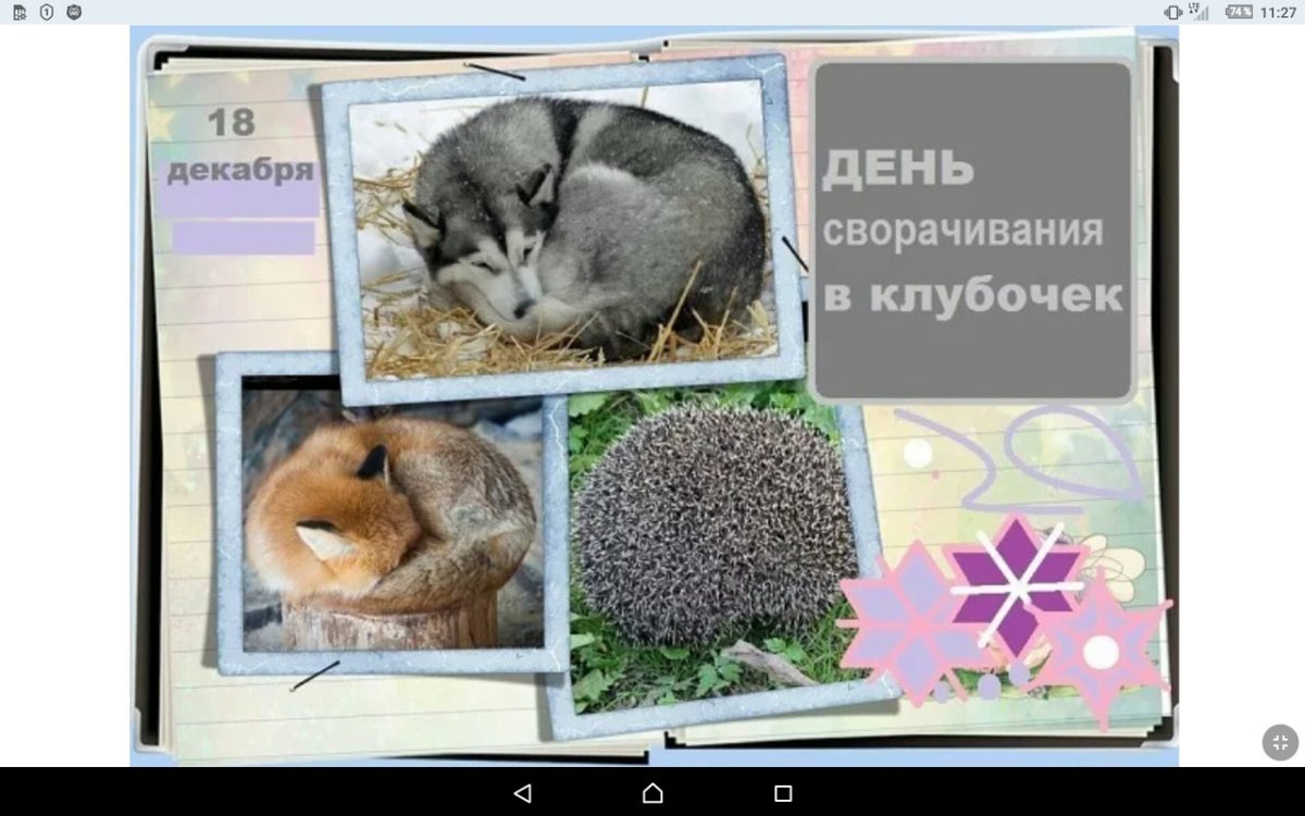 День сворачивания в клубочек