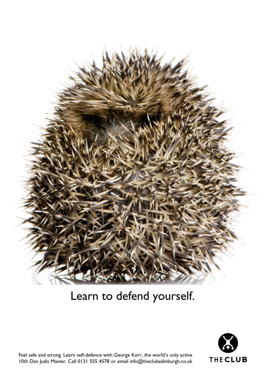 Еж в клубке