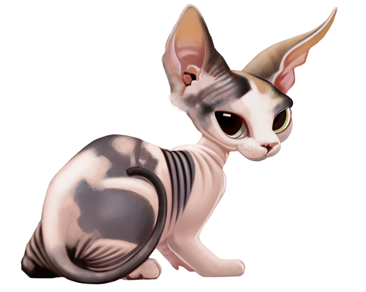 Канадский сфинкс