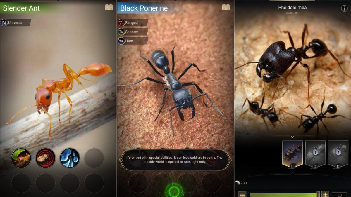 The Ants Underground Kingdom таблица муравьев