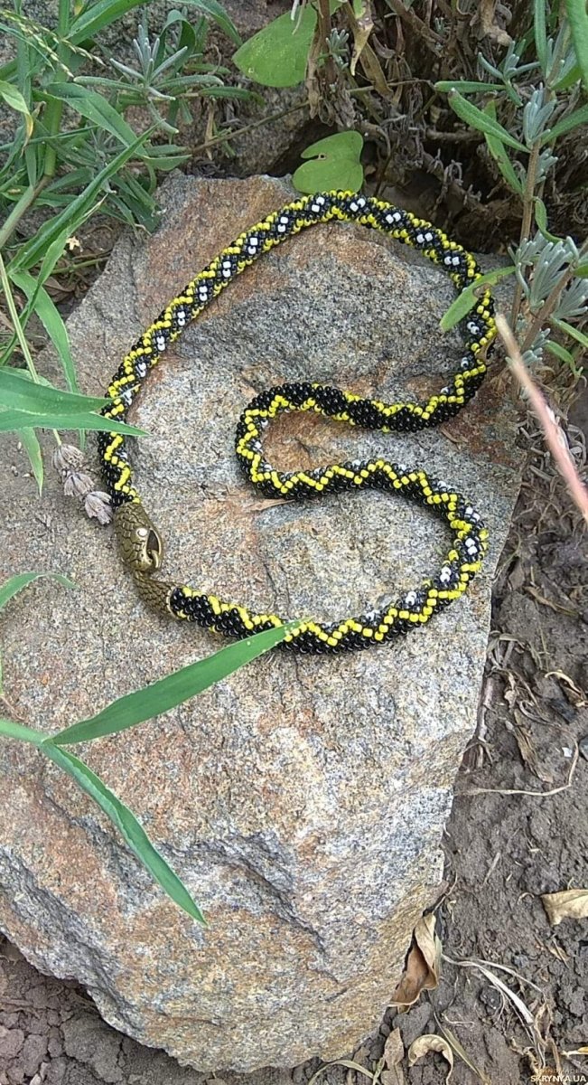 Желтобрюх змея