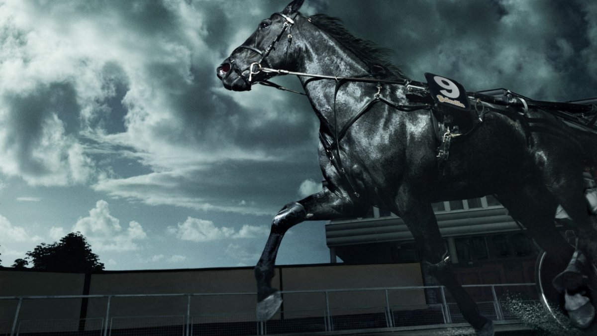 Блэк Хорс актёры