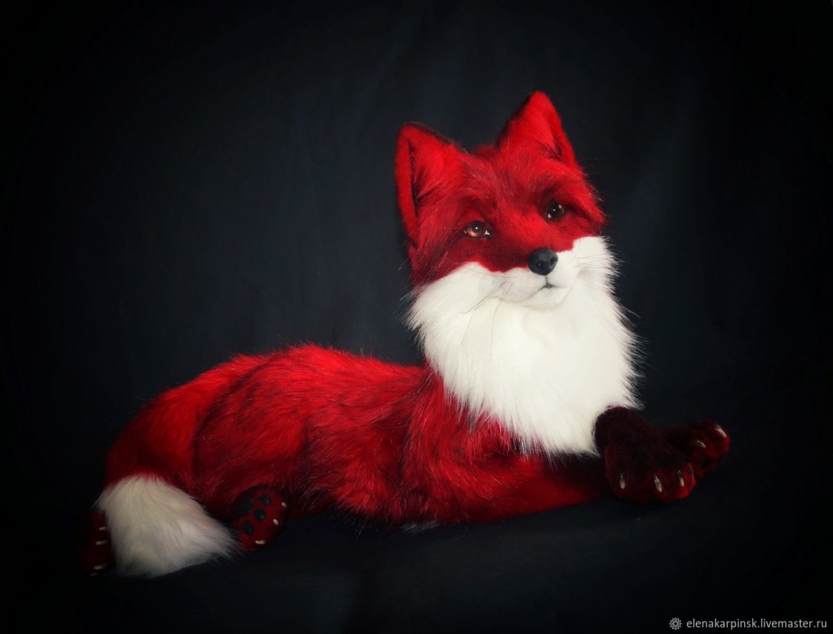 Красная лисица Стейн